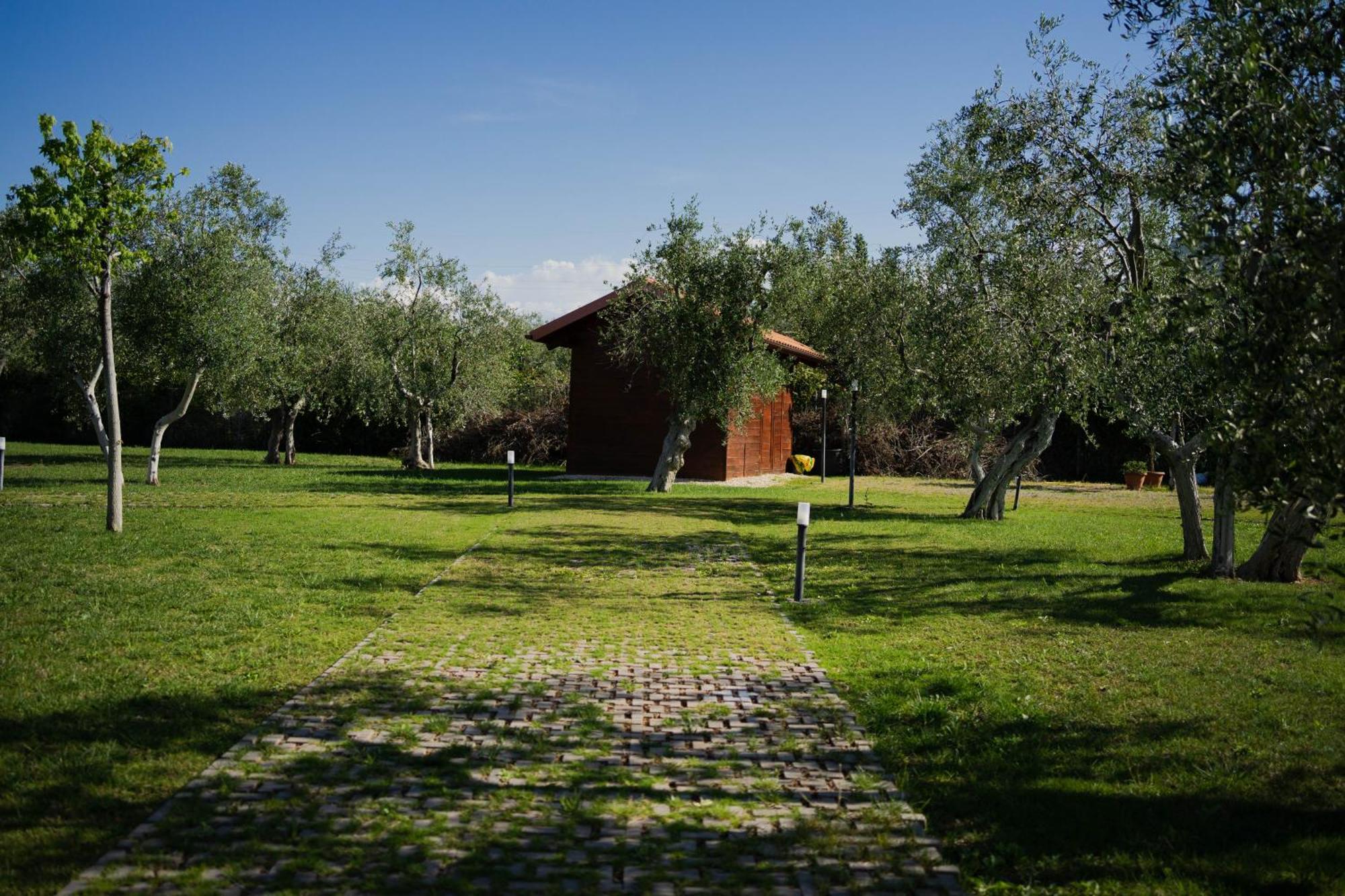 Villa Erada バーリ エクステリア 写真
